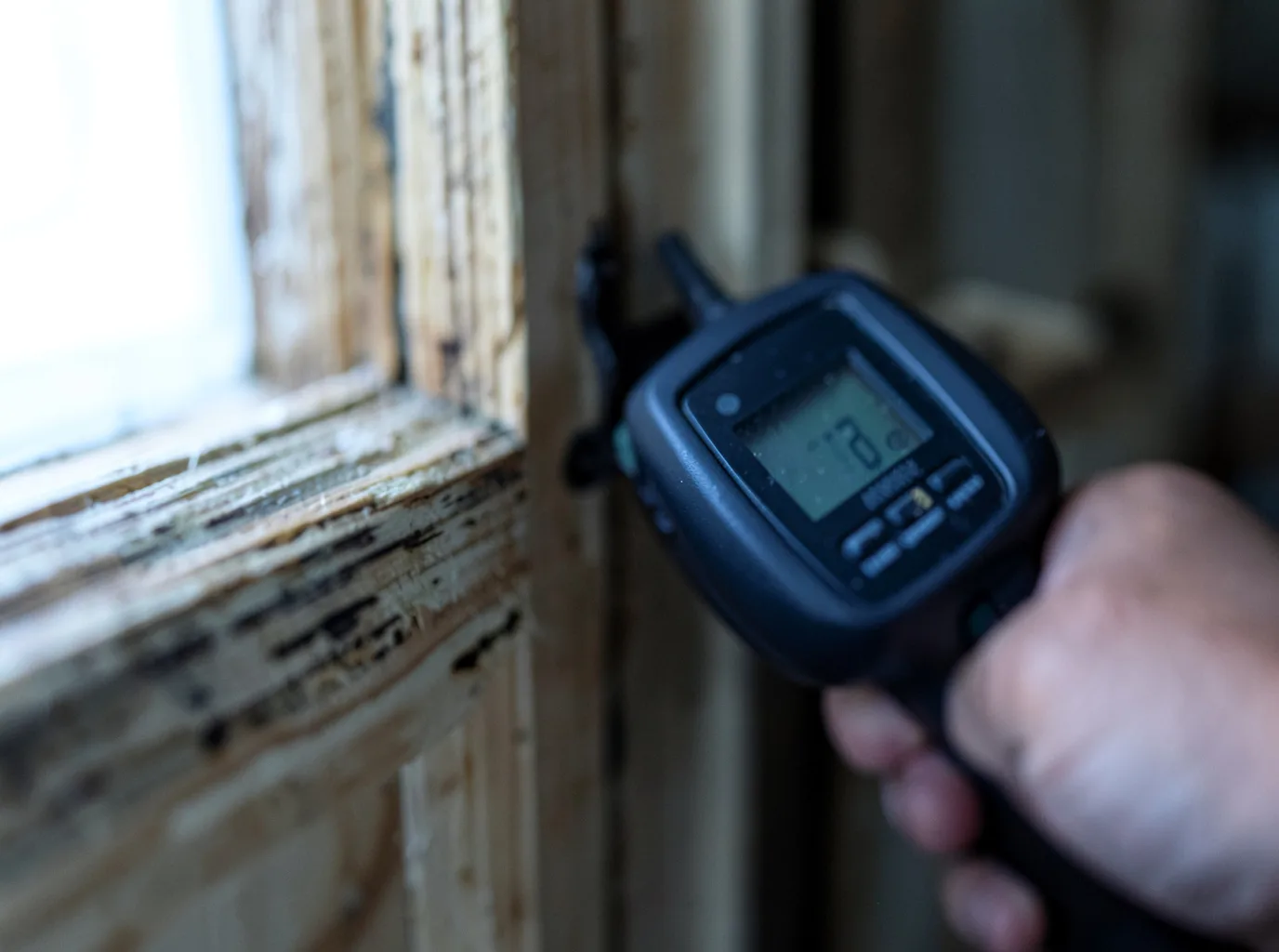 Moisture Inspection And Documentation in Orangeburg, NY